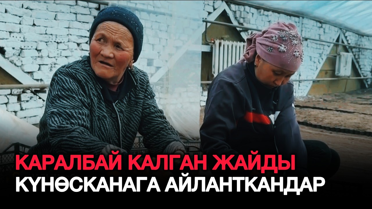 Орозодо киреше тапкан элеттик айым…