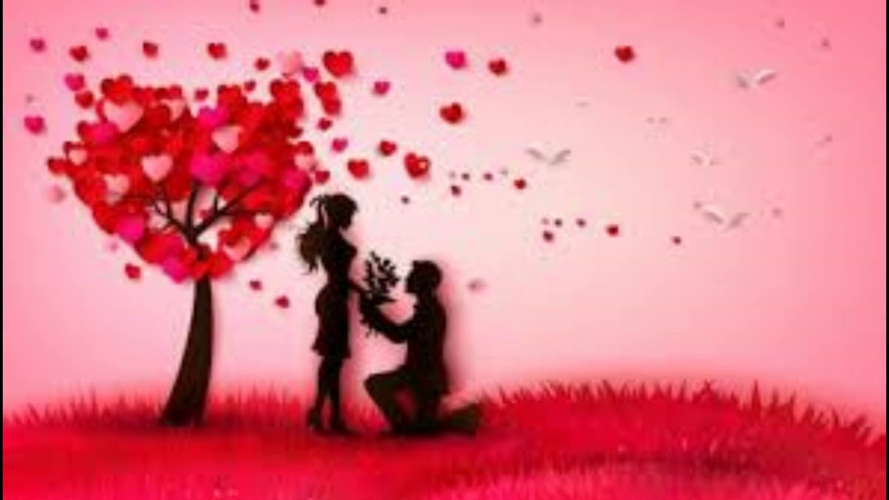 BACHATA MIX SAN VALENTIN DJ ALEXIS