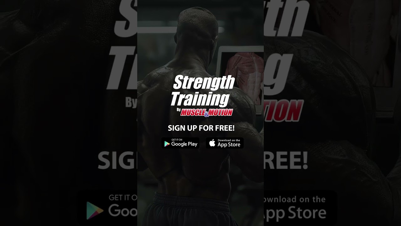 #MusclandMotion #anatomy #Strengthtraining #Trainingapp