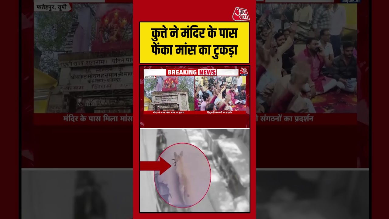 Fatehpur News: कुत्ते ने Hanuman Mandir के पास फेंका मांस का टुकड़ा, CCTV से खुलासा #shortsviral