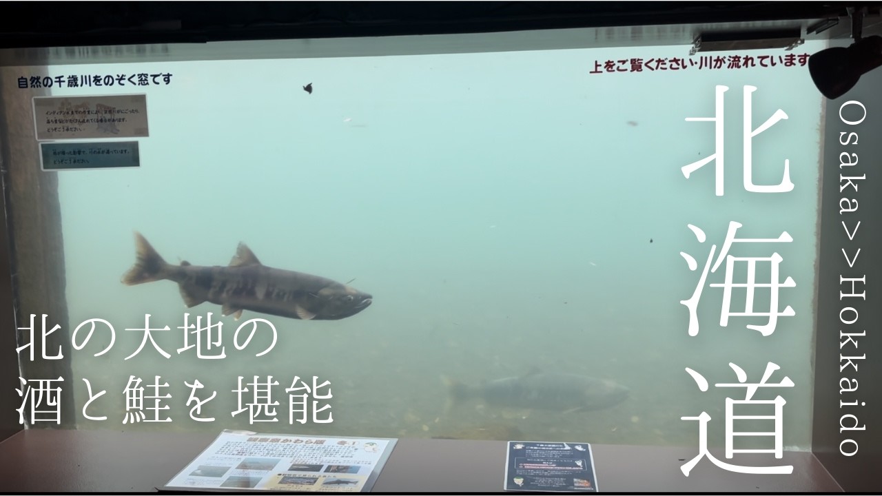 往復1.1万円の弾丸北海道！大阪から日帰りでどこまで楽しめる？【千歳・札幌】