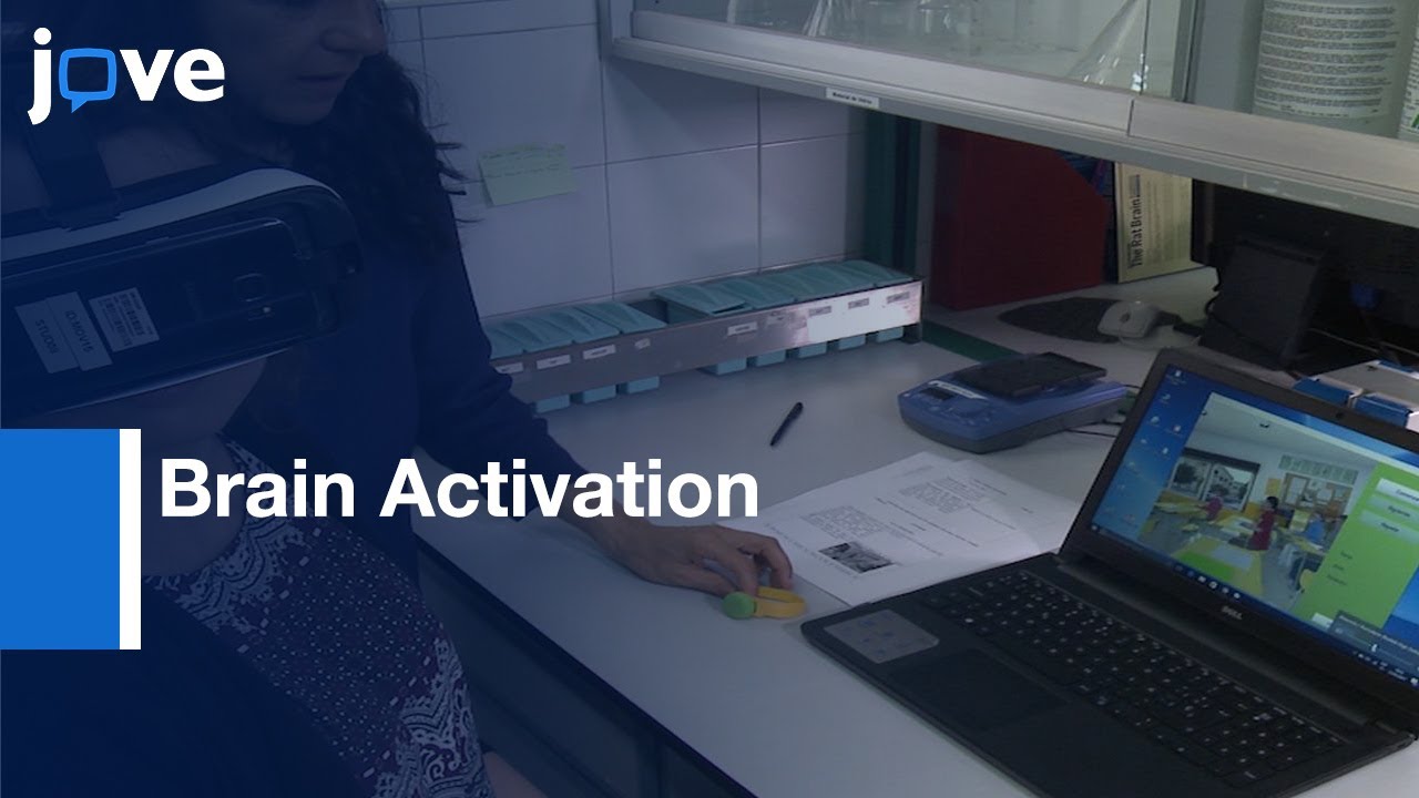 Brain Activation (nir-HEG/Q-EEG) and Execution (CPTs) in ADHD | Protocol Preview