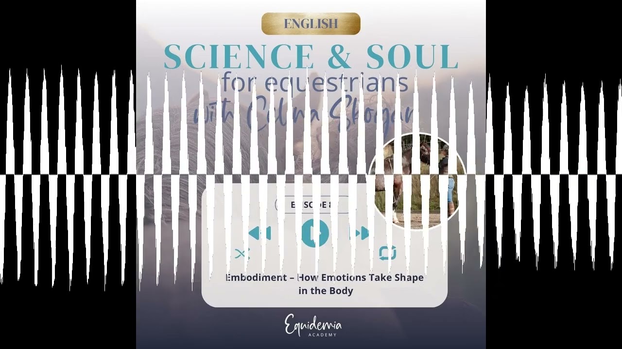 Embodiment – How Emotions Take Shape in the Body Part 3 - Horsefriends international