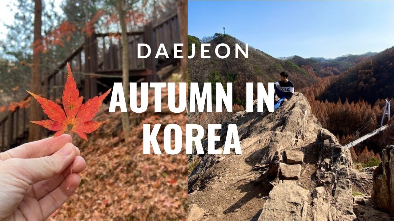 autumn in Korea, Daejeon | a day in jangtaesan recreational forest 장태산자연휴양림 for autumn sightseeing