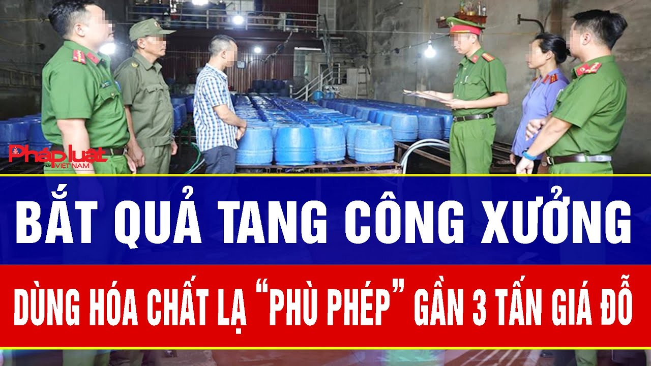 Điểm nóng 10/2: Bắt quả tang công xưởng dùng hóa chất lạ “phù phép” gần 3 tấn giá đỗ gây chấn động