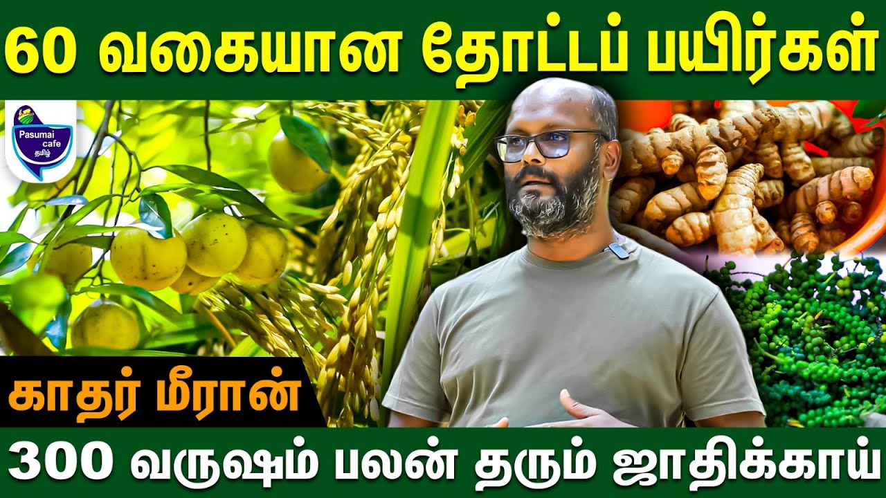 சின்ன சின்ன வருமானங்கள் விவசாயத்தில் உதவிகரமா இருக்கும் | Multi crop farming 