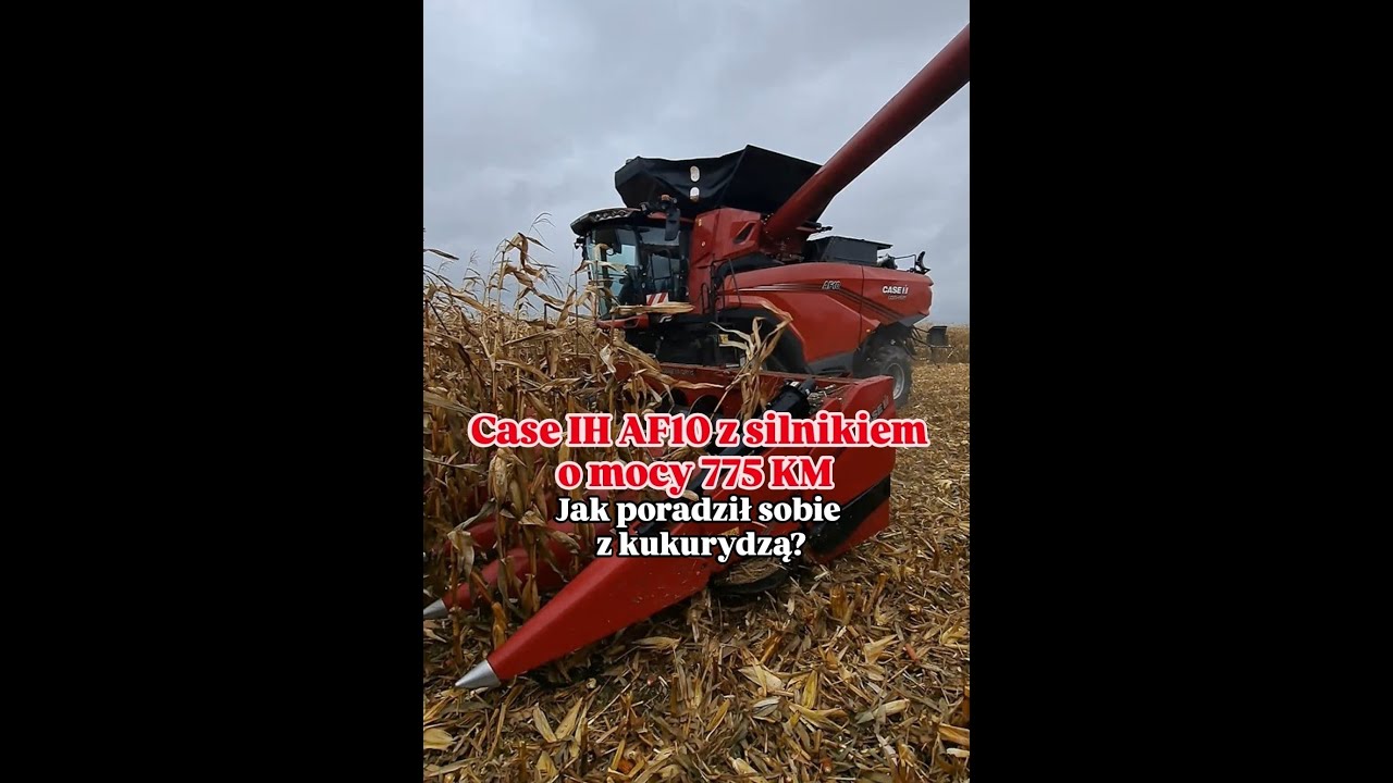 Case IH AF10 z silnikiem o mocy 775 KM! Jak poradził sobie&nbsp;z&nbsp;kukurydzą?