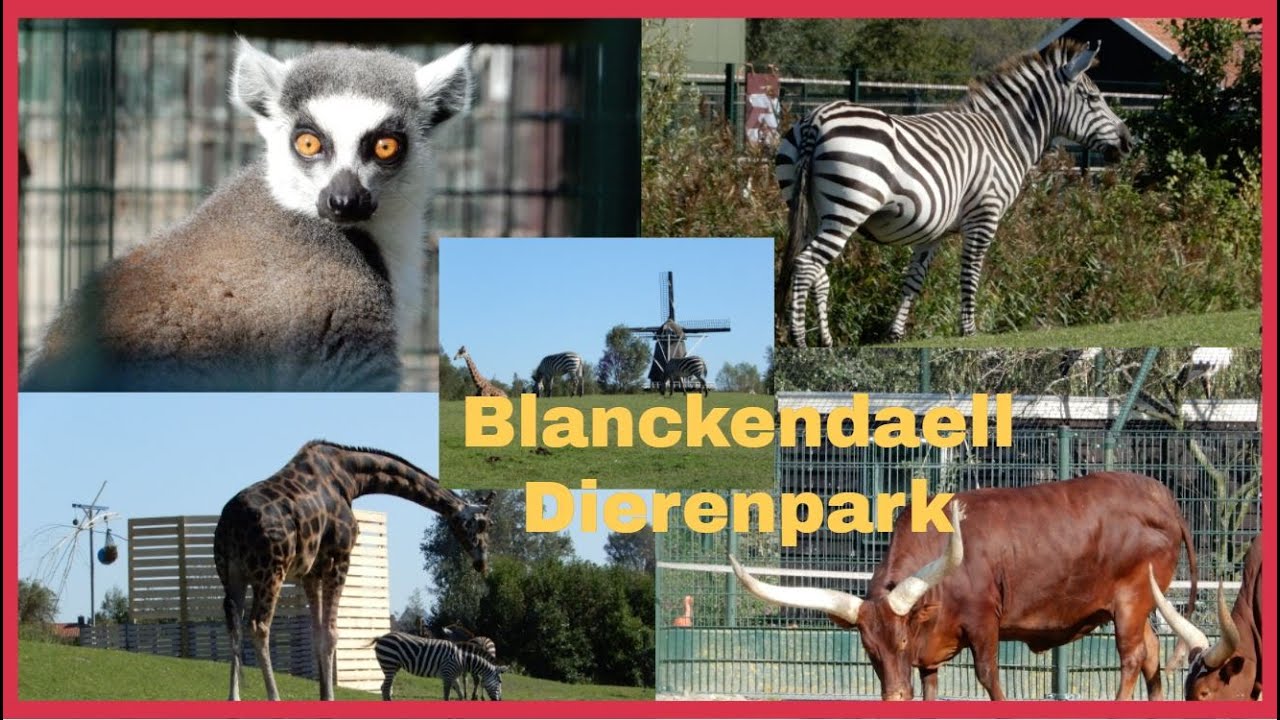 Review Dierenpark (vol met dieren) (Zoo) Van Blanckendaell Park in Tuitjenhorn 2020