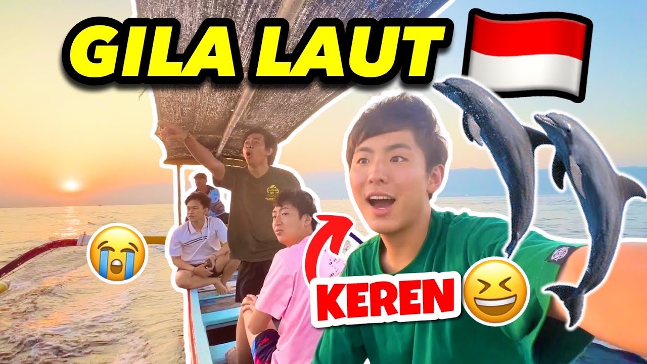 KEREN BANGET INDONESIA .. BISA BERENANG SAMA DOLPHIN!!