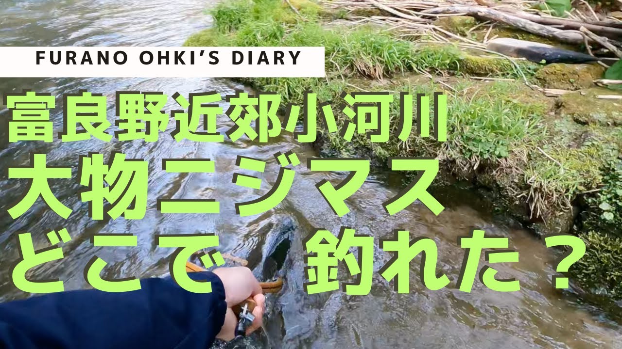 【５月】富良野の小河川　大物ニジマス釣れた