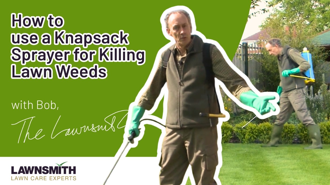 How to use a Knapsack Sprayer for Killing Lawn Weeds