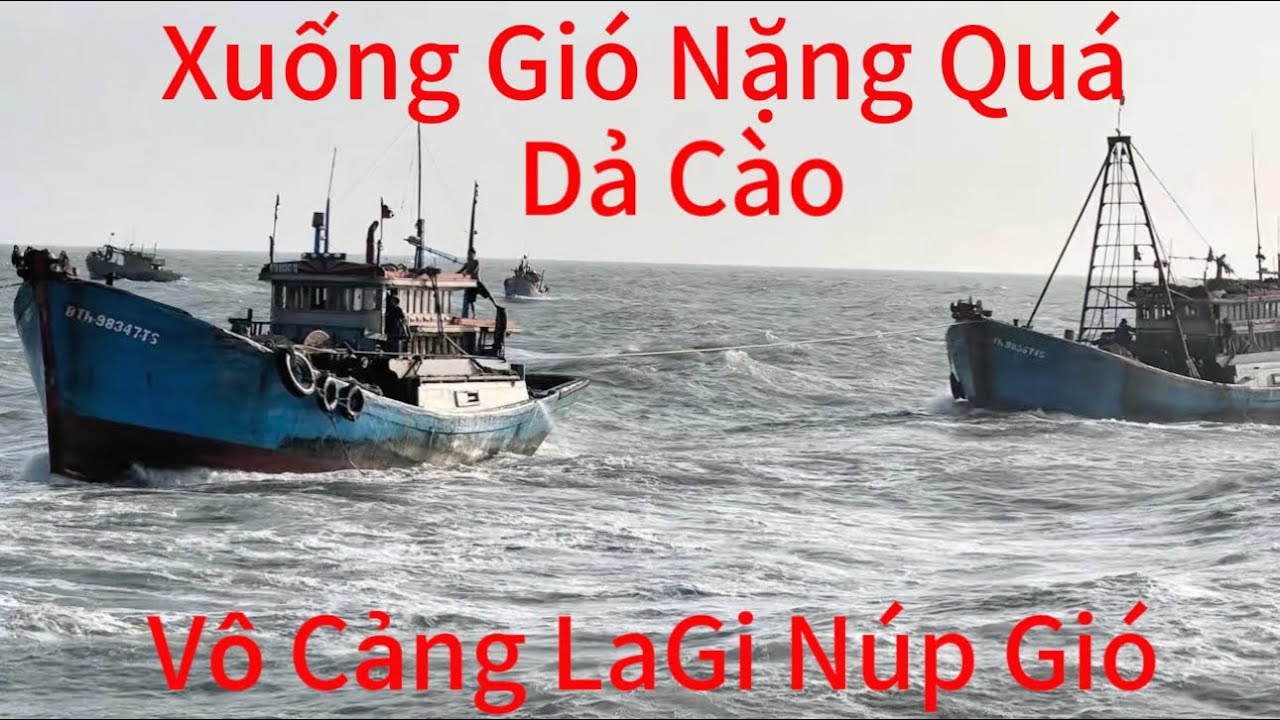 Xuống Gió Mạnh Khủng Khiếp.Hàng Chục Cặp Dả Cào Bay Siêu Khủng Và Lưới Xù Vô Cảng LaGi Núp Gió 