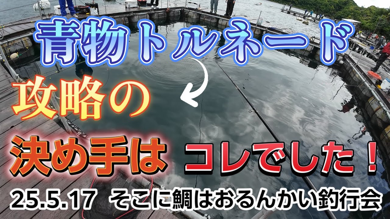 青物トルネード攻略の決め手は、コレでした！