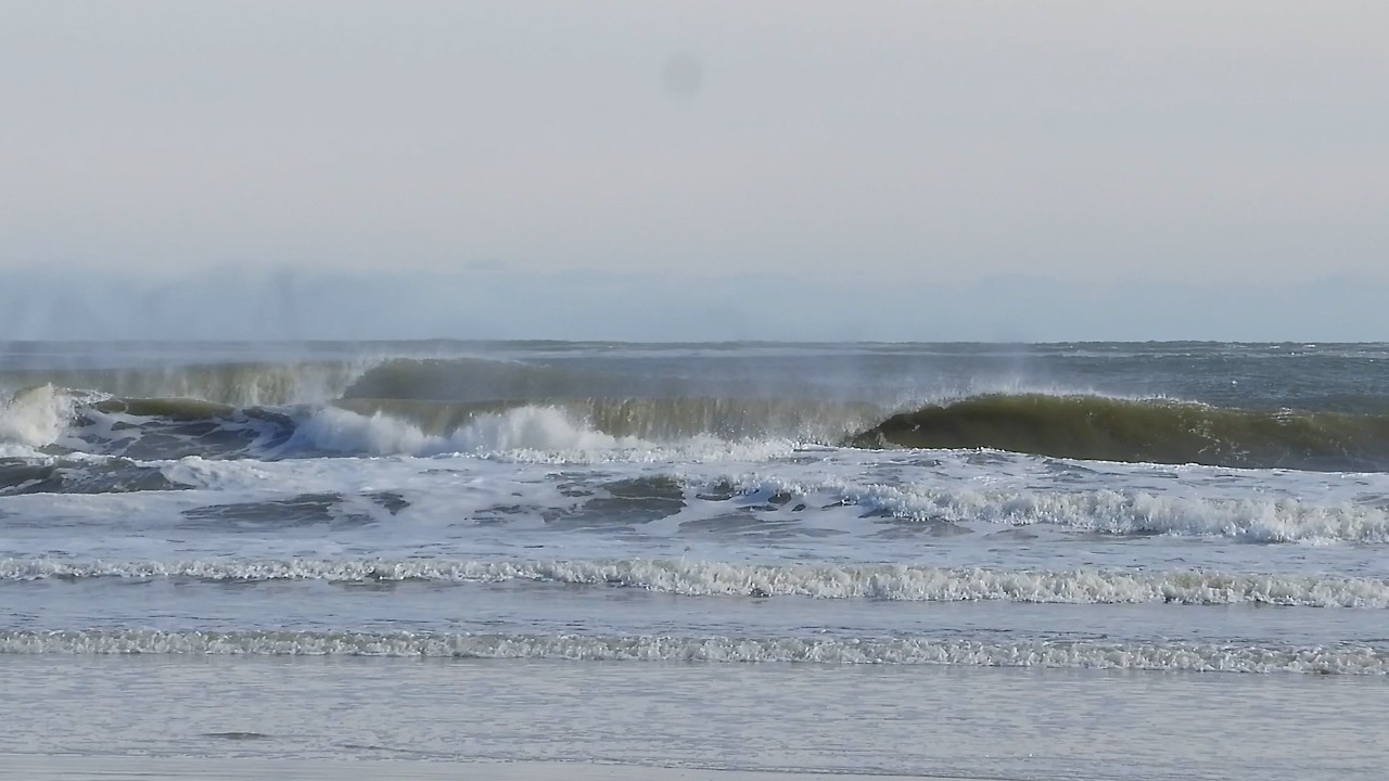 NJ Waves: 1/27 to 2/1/2026 - arrived back to a deep freeze and a new NE swell