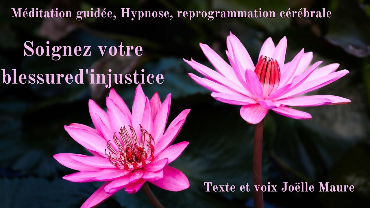 Soignez votre blessure d'injustice   Méditation guidée, hypnose, reprogrammation cérébrale avec Joël
