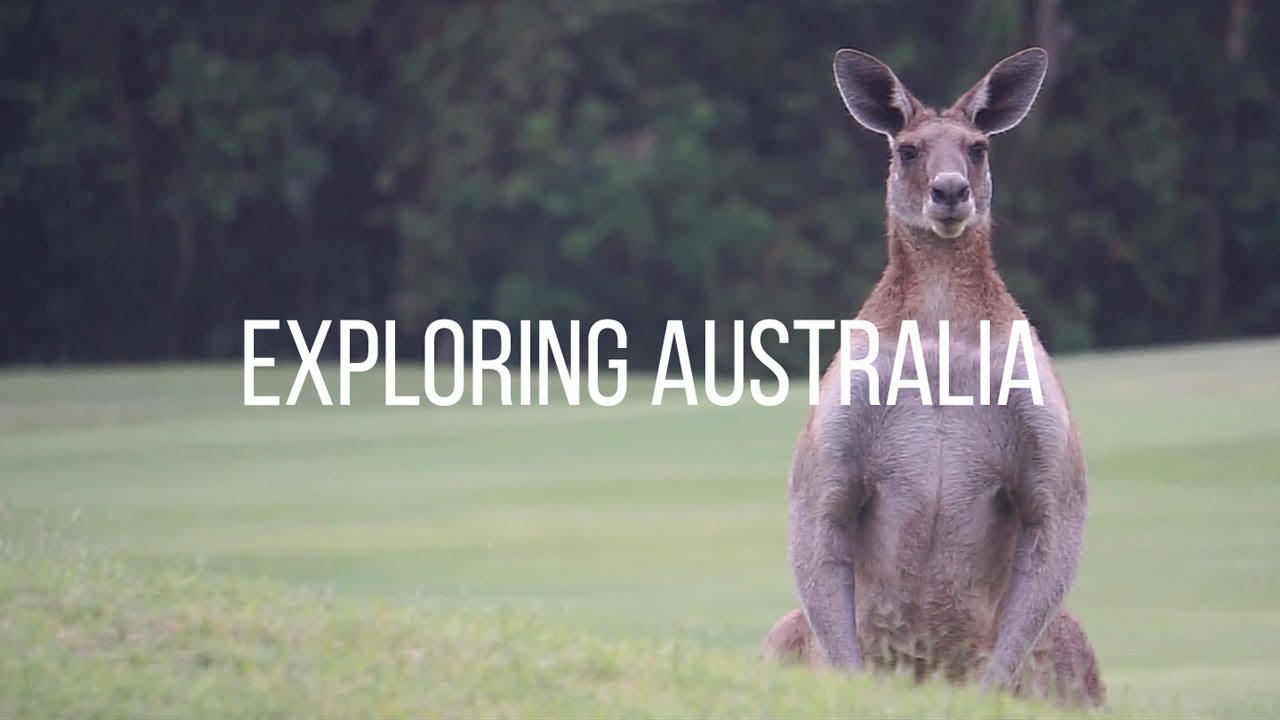 Auslandsjahr Australien: Exploring Australia