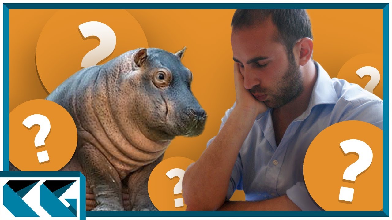 Hippopotamus Defense Players... AVOID THESE COMMON MISTAKES!