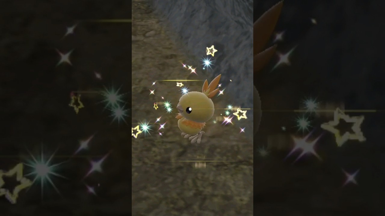 Shiny Torchic found in Pokemon Scarlet Indigo Disk! 
