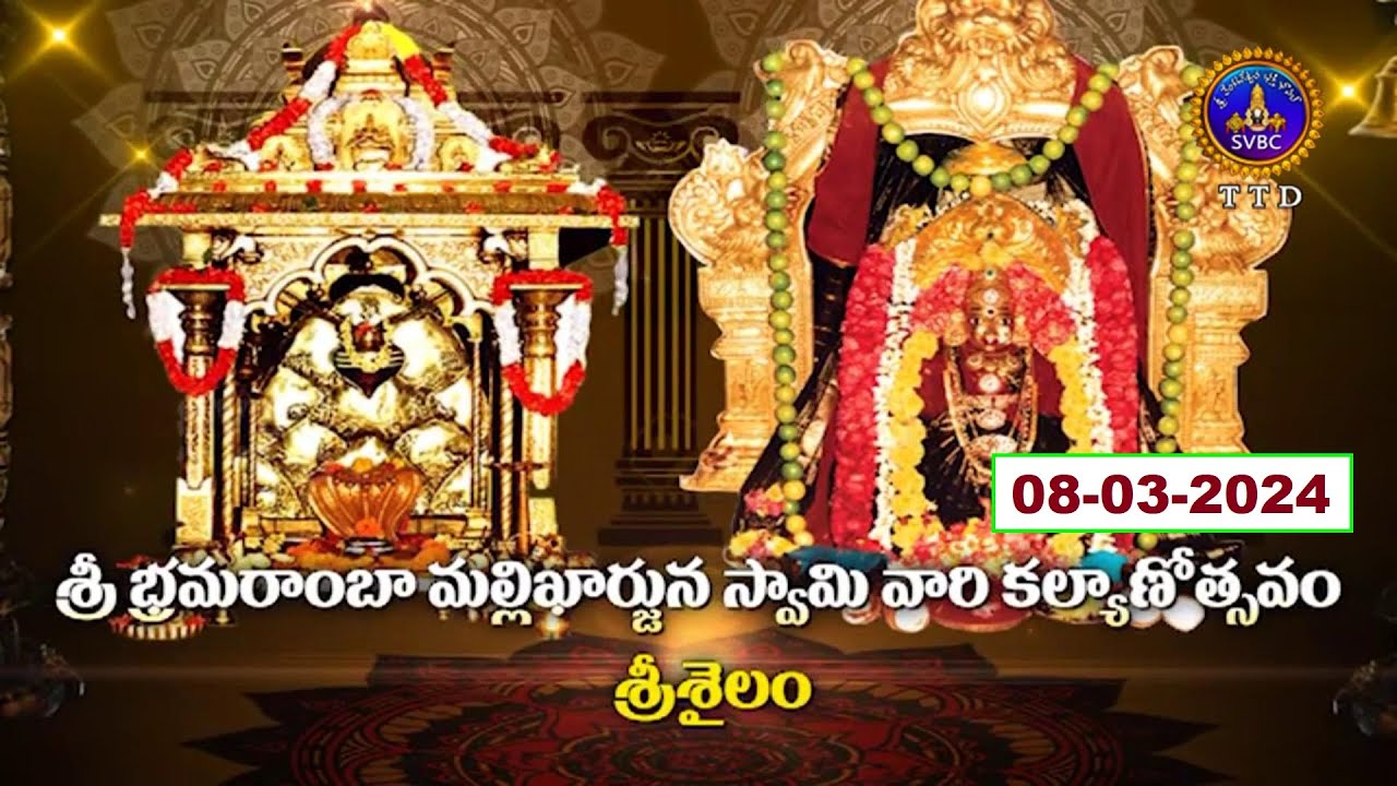 Sri Bramaramba Mallikarjuna Swamy Vari Kalyanam || Srisailam || 08-03-2024 || SVBC TTD