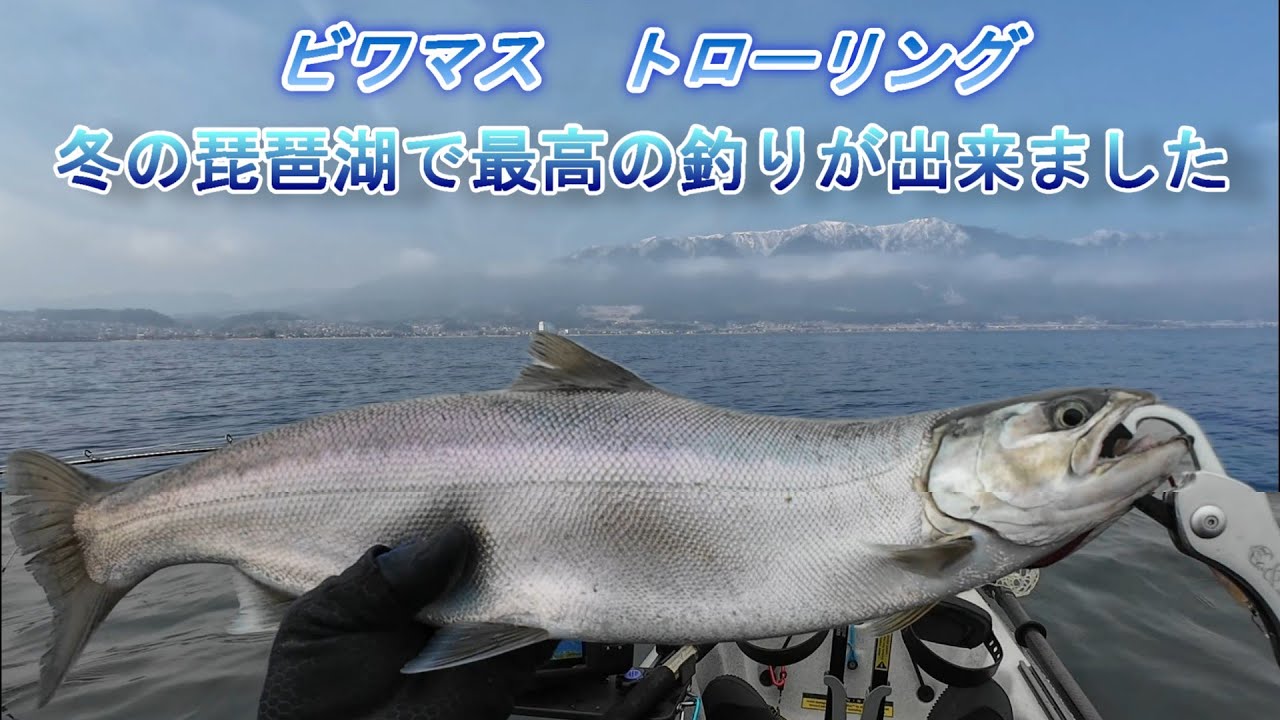 ビワマス釣り・厳しい状況でもスプーンを変えると劇的に釣果が変わり過去最高の釣りとなりました