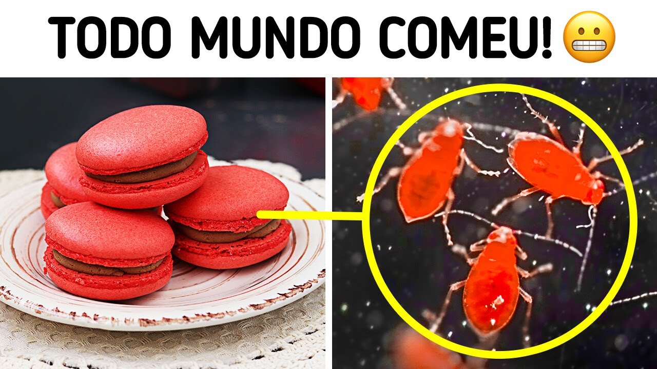 As vidas secretas das coisas comuns: O que você perdeu