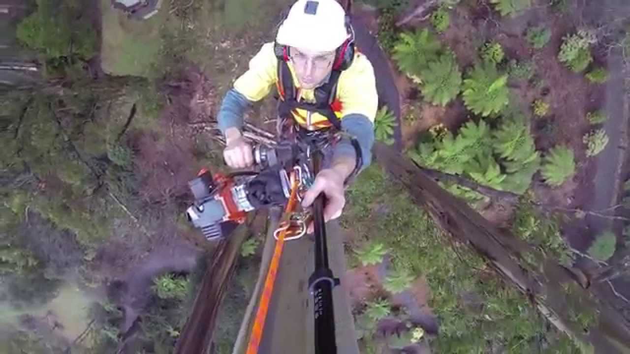 Motorised SRT Rope Ascender Odysee PM