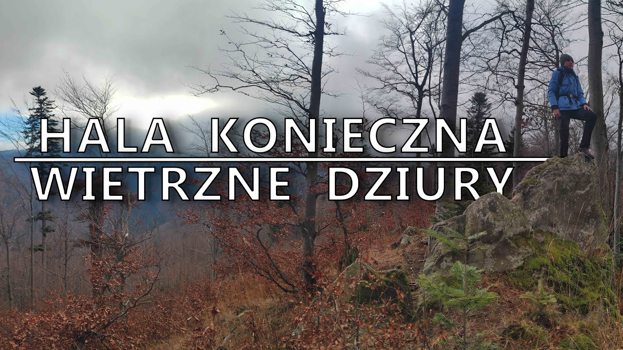 Hala Konieczna percią Sosnowskiego i Wietrzne Dziury – Beskid Sądecki — (27.11.2021)