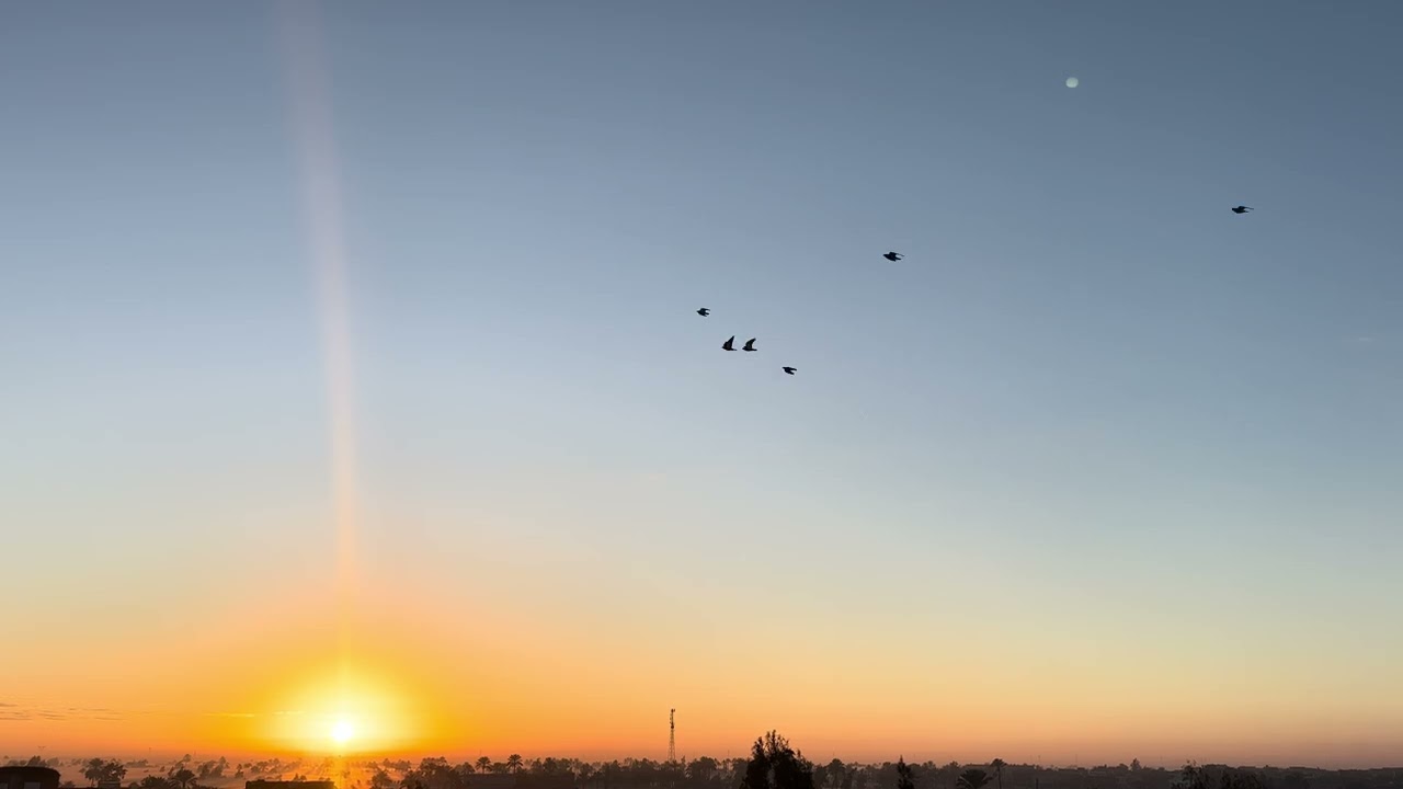The Most Beautiful Sunrise You’ll See Today ♥️♥️