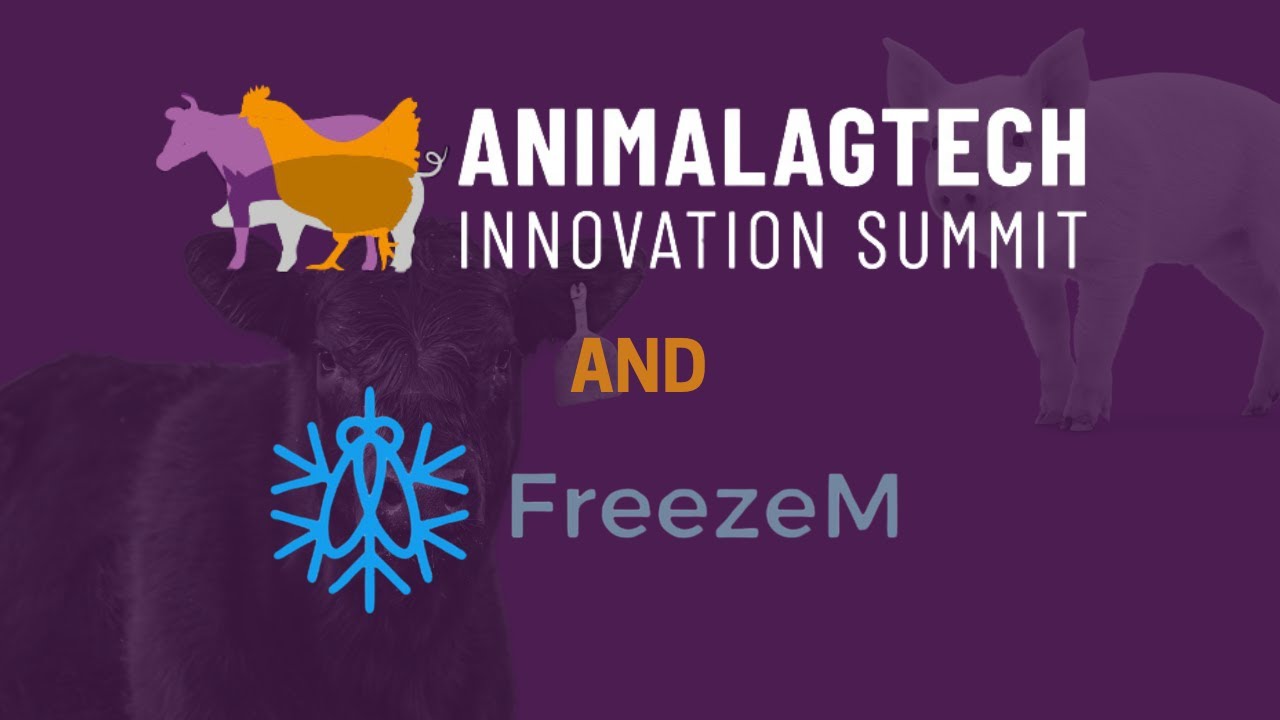 Revolutionizing Insect Farming: FreezeM's Innovative Approach to Black Soldier Fly Breeding