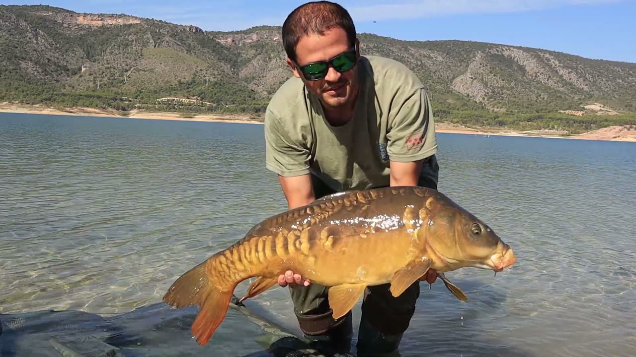 Carp Blog #01 -Mar de Castilla-