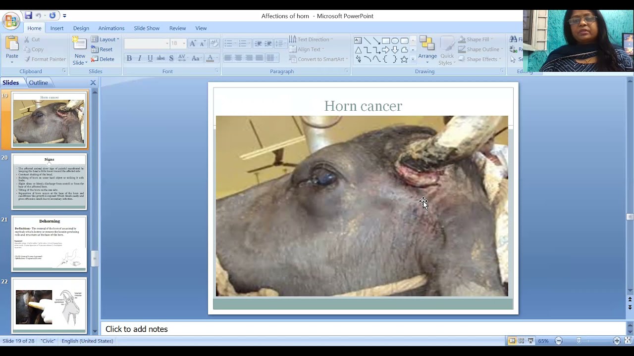 Affection of Horn by Dr. Archana Kumari, Vet. Surgery, BVC, Patna
