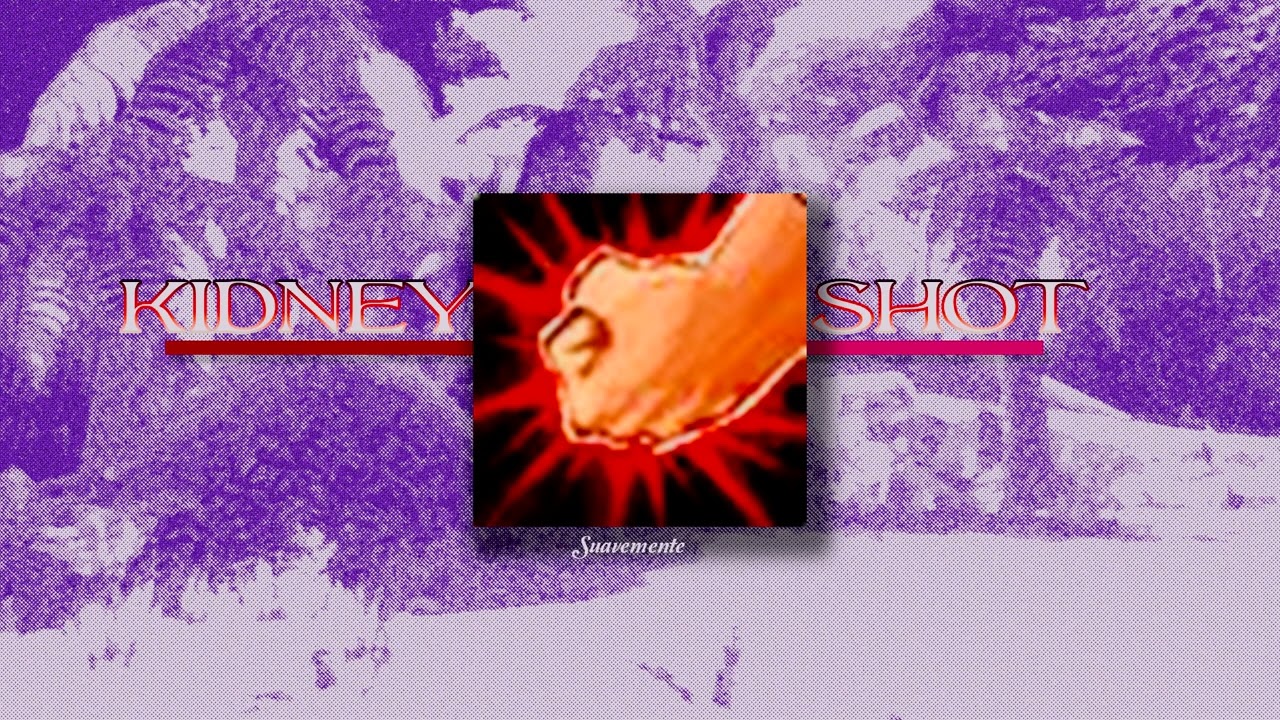 Suavemente !-! Kidney Shot