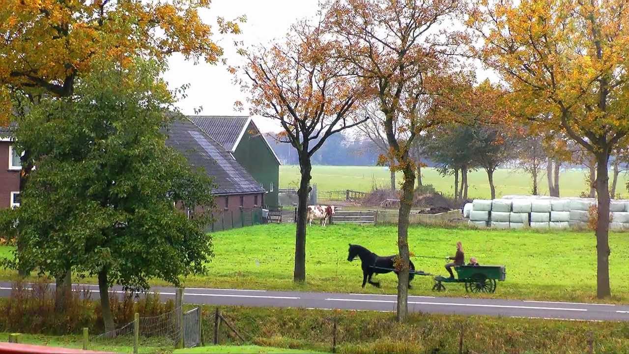 Kamperveen Nu. Deel 16.