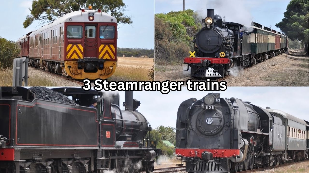 3 Steamranger trains, DOUBLE COCKLE TRAINS + TRANSFER!