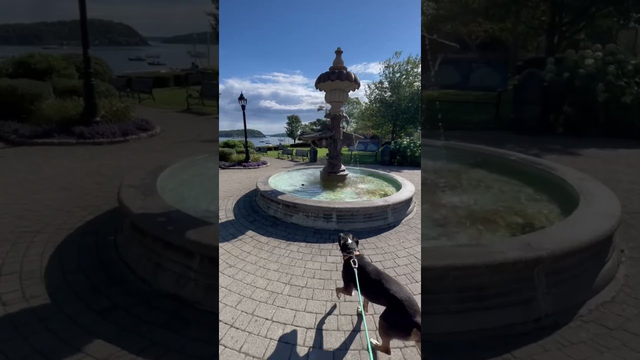 Bar Harbor, Maine is the charming town that is the gateway to Acadia National Park #nationalparks