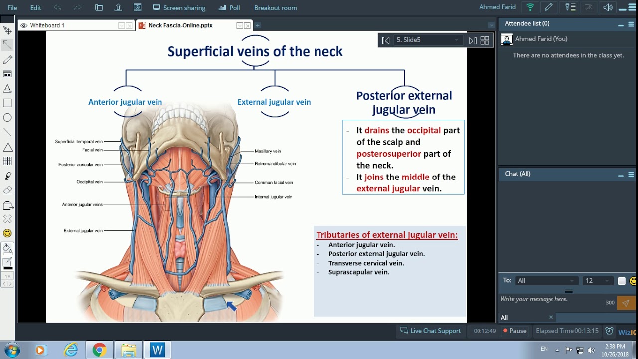 Fascia of the Neck - Dr. Ahmed Farid