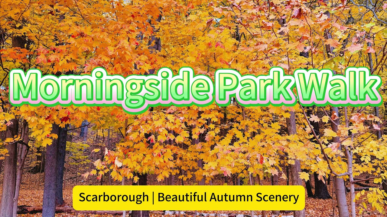 Autumn Walk in Morningside Park 🍁 | Beautiful Fall Colors in Scarborough 4K #TorontoFall #AutumnWalk