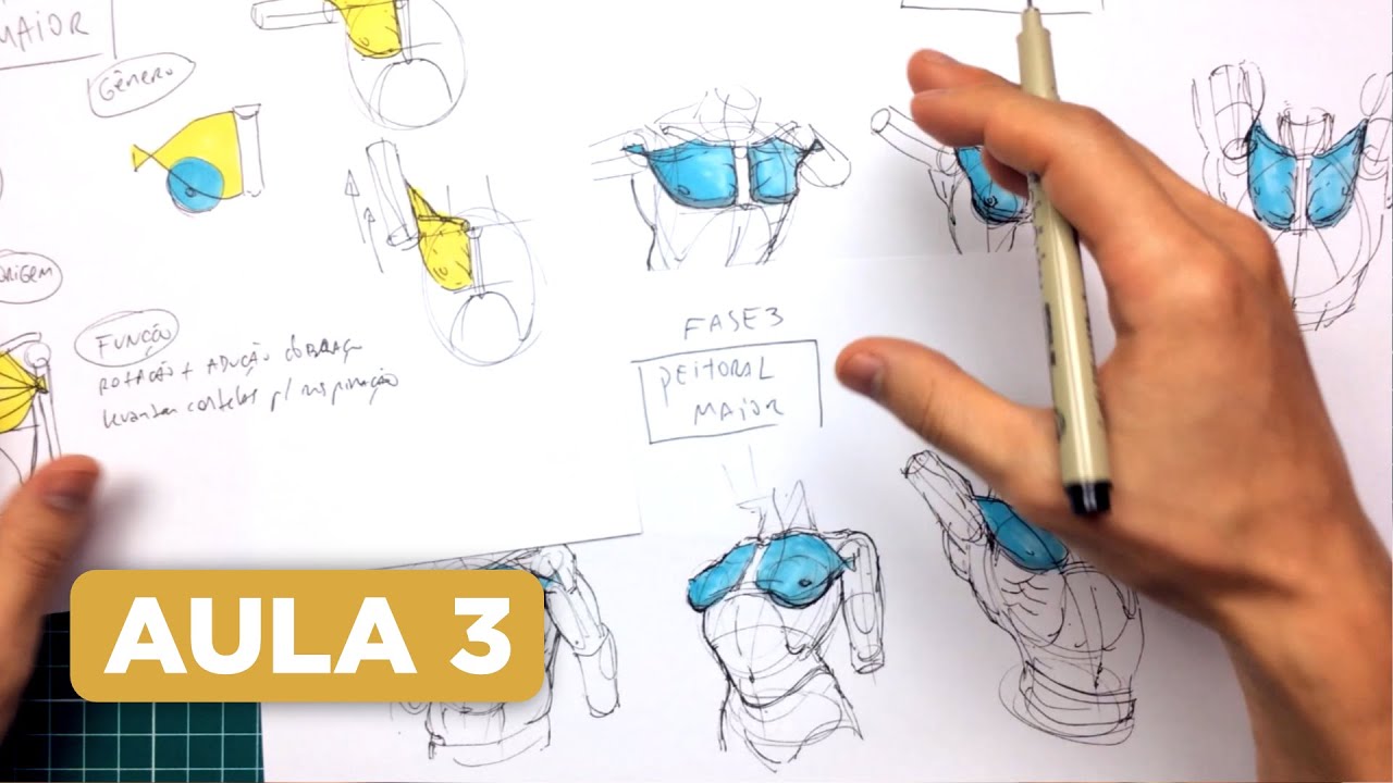 Como Desenhar o Corpo Humano 💪 Músculo Peitoral Maior (Parte 1/2)
