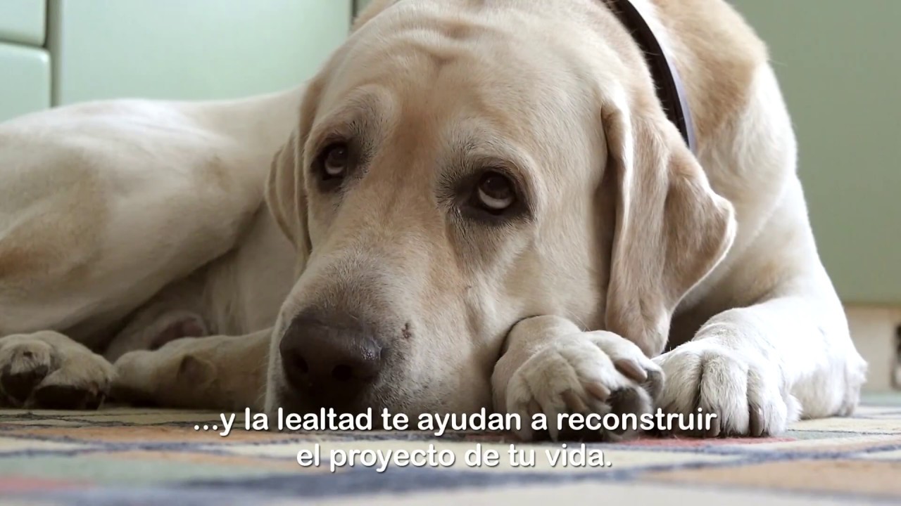 EL PROYECTO DE MI VIDA, de Megan Maxwell