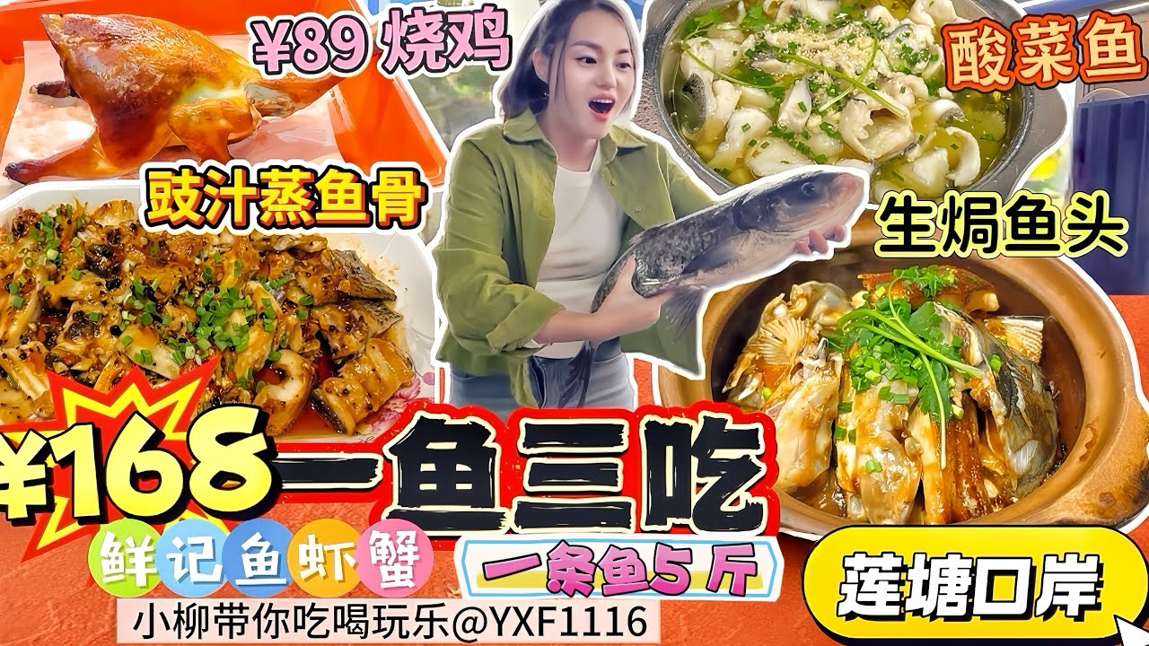 【蓮塘口岸】￥168一魚三吃😍5斤重的魚🐟三種不同吃法‼️現撈現做 份量超大4-6人餐🔥生焗魚頭 酸菜魚 豆豉蒸魚骨👍¥89現烤燒雞 ¥58砂鍋豆腐煲 手工現磨📍深圳北上美食  鮮記魚蝦蟹(壹海城店)