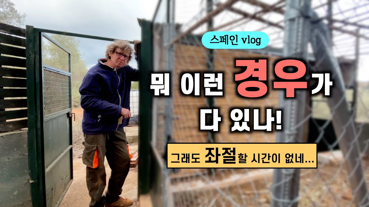 상상도 못한 일 당했어요 ㅠㅠ 무서운 도둑넘의 정체... ㅠㅠ