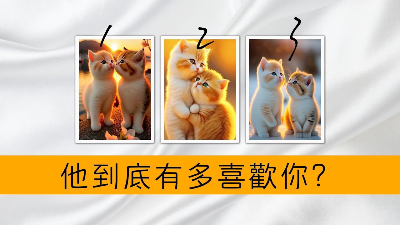 他對你的愛有多強烈？你能否像一棵樹，穩穩的生長在他心裡？羈絆一生！ |塔羅占卜|愛情|感情|曖昧|戀愛