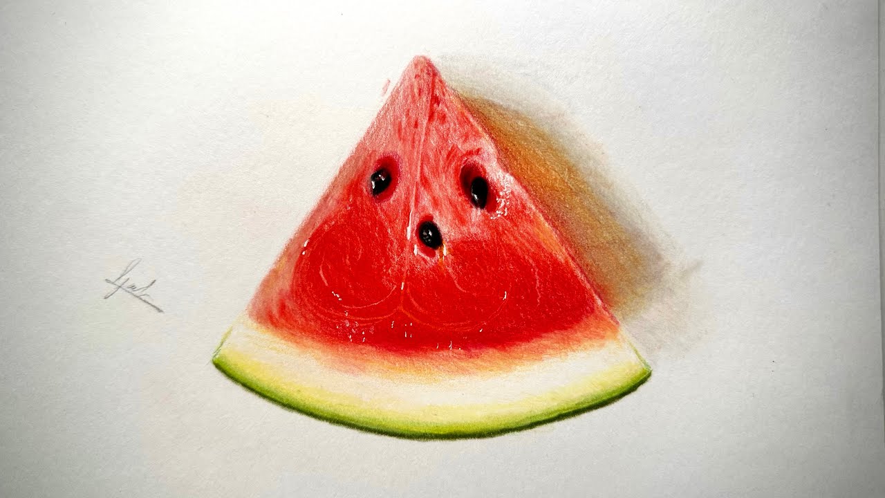 Drawing of watermelon / realistic drawing. 