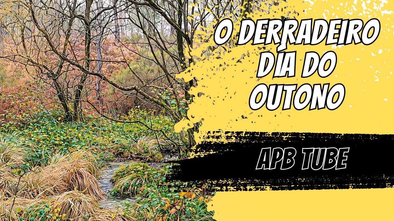 🍁Derradeiro día do outono no monte 🍁