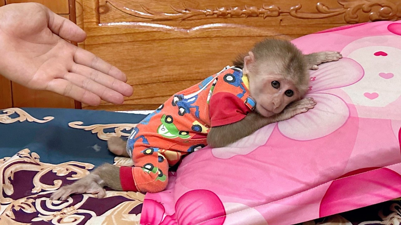 Lulu is sulking because of something unavoidable &mdash; Dad feels helpless