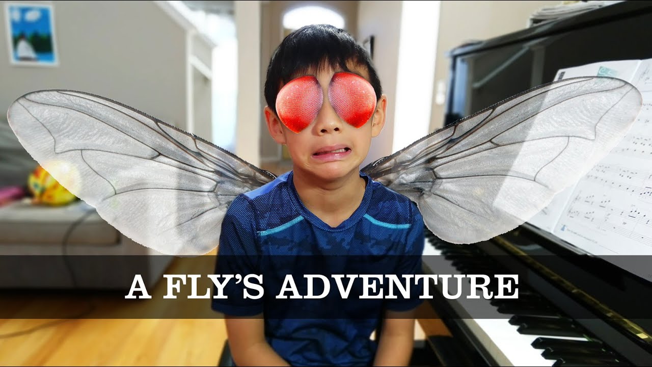 The Fly's Adventure - Faber Piano Adventures Level 3A Performance Book
