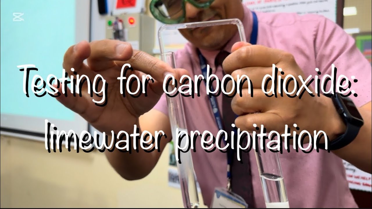 ИССЛЕДОВАНИЕ НА УГЛЕКИСЛЫЙ ГАЗ: ВЫСАДКА В ИЗВЕСТКОВОЙ ВОДЕ