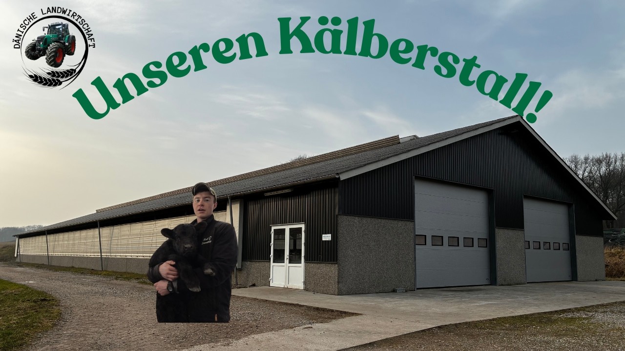 Ich zeige euch unseren Kälberstall, Baujahr 2019 | Dänische Landwirtschaft