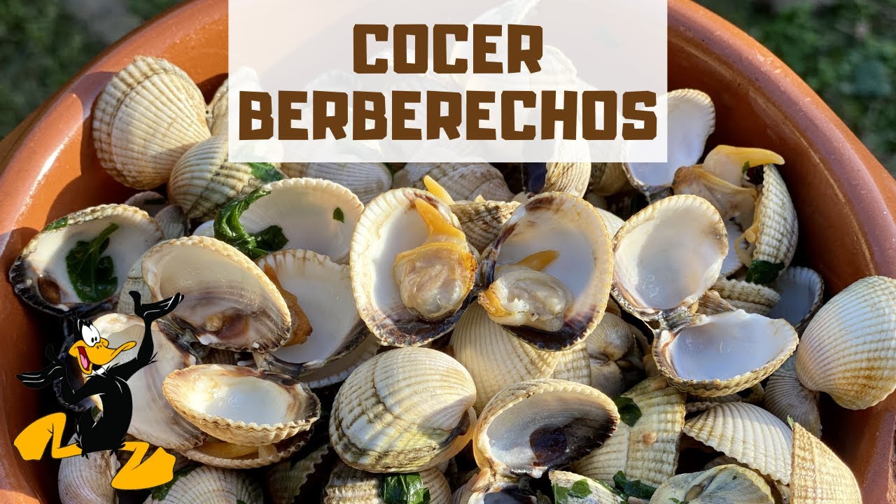 3 TRUCOS para Cocer Berberechos 🤤 ¡AL VAPOR!