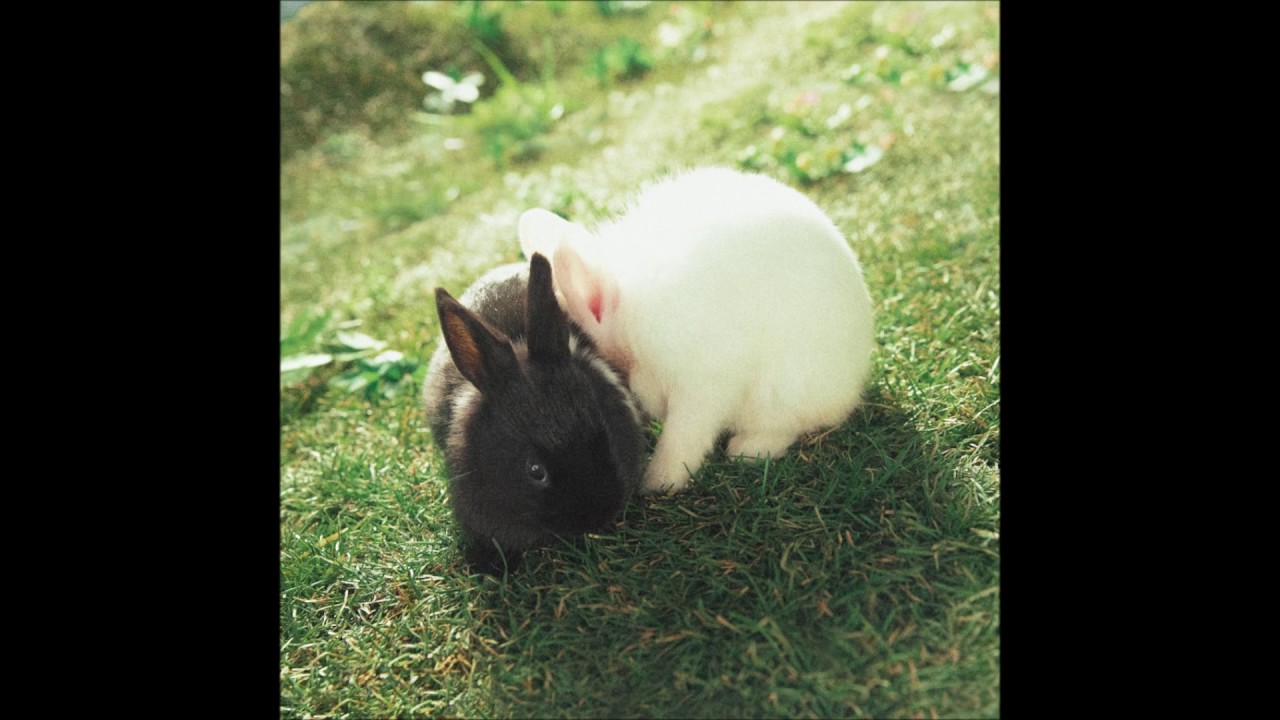 [INSTRUMENTAL] ZICO (지코) _ She’s a Baby (Digital Single)